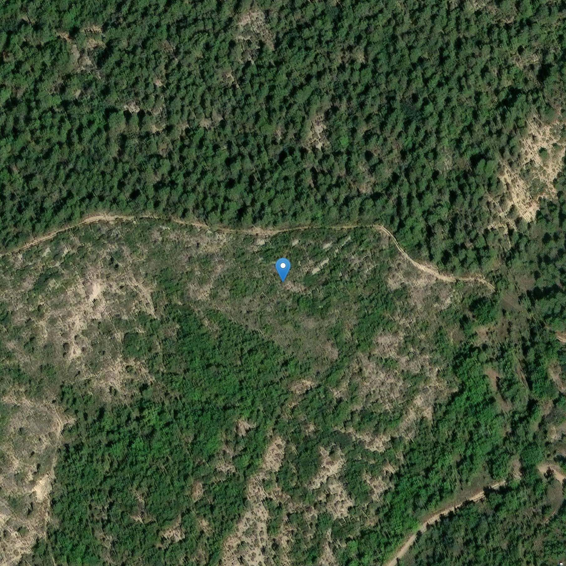 Photo de Dolmens des Cudières