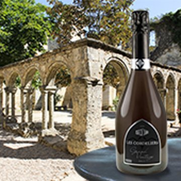 Cloître des Cordeliers de Saint-Émilion