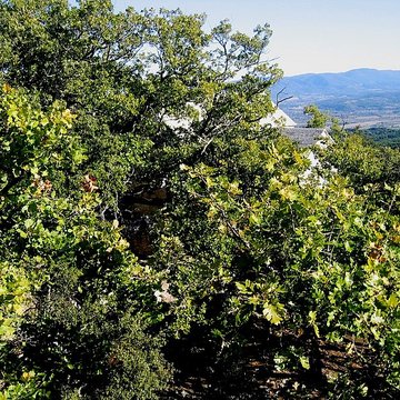 Chapelle Sainte-Anne-de-Goiron également sur commune de Lambesc