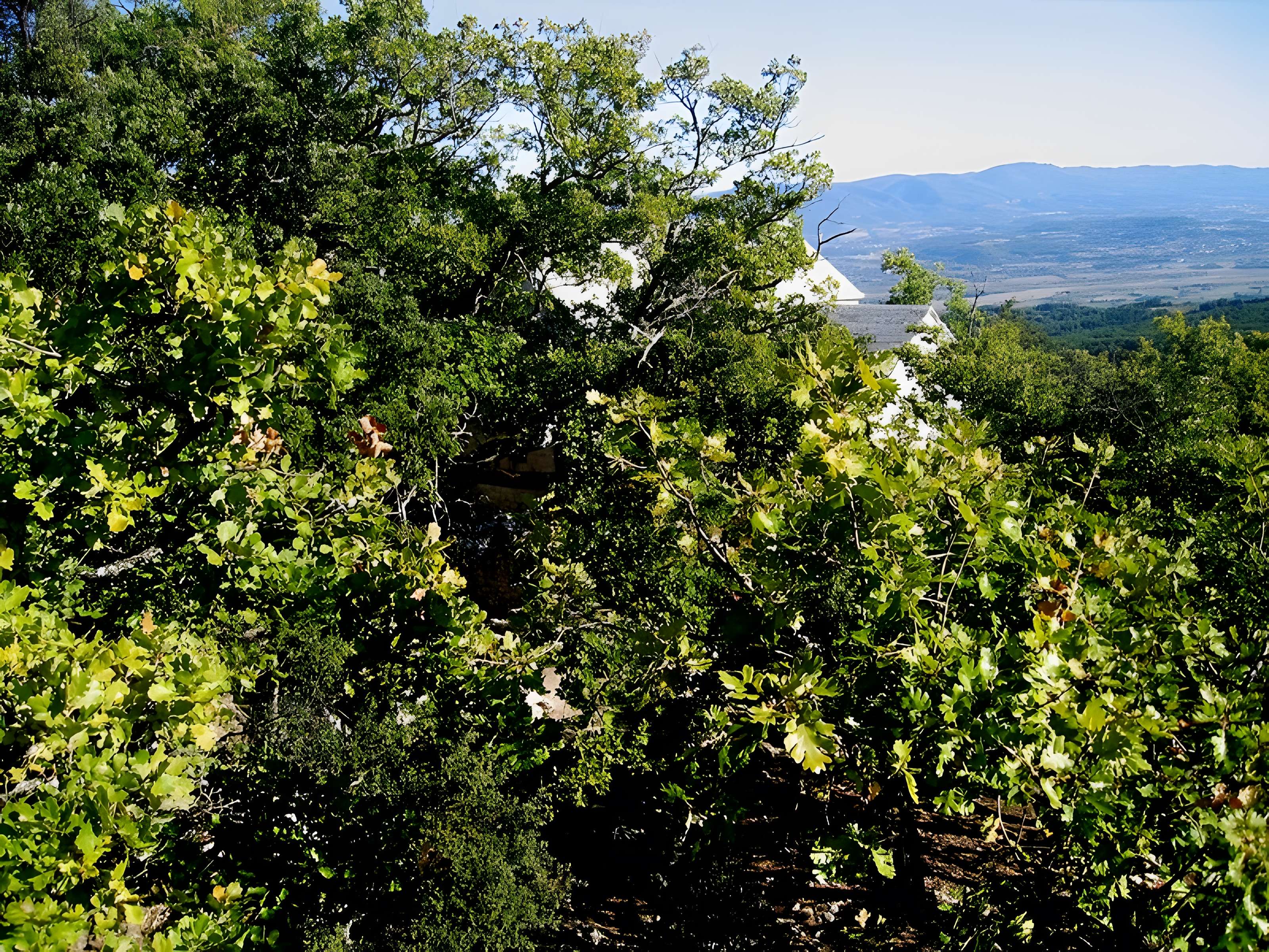 Chapelle Sainte-Anne-de-Goiron (également sur commune de Lambesc)