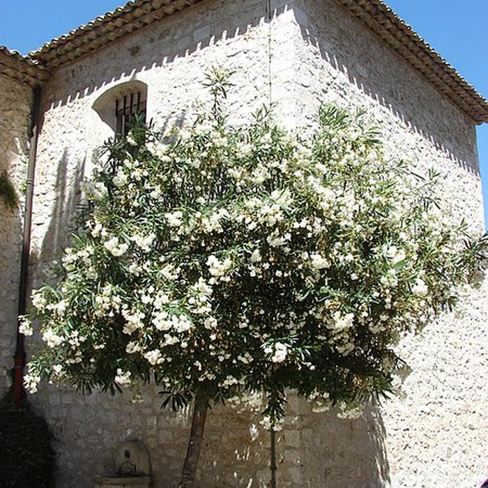 Photo de Collégiale de la Conversion-de-Saint-Paul de Saint-Paul-de-Vence