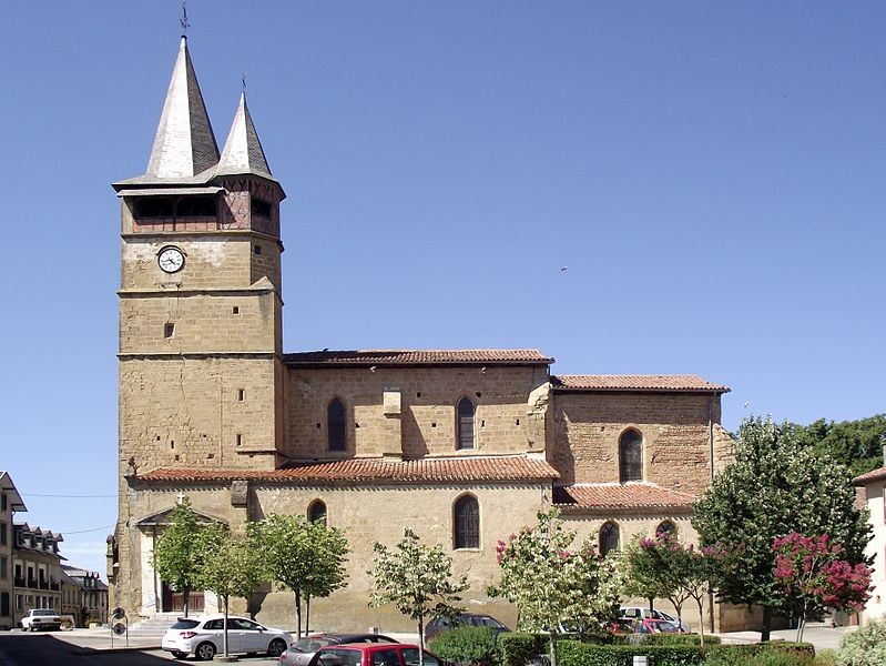 Photo de Collégiale de l'Assomption de Castelnau-Magnoac
