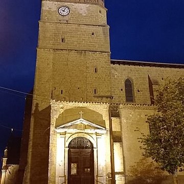 Collégiale de lAssomption de Castelnau-Magnoac