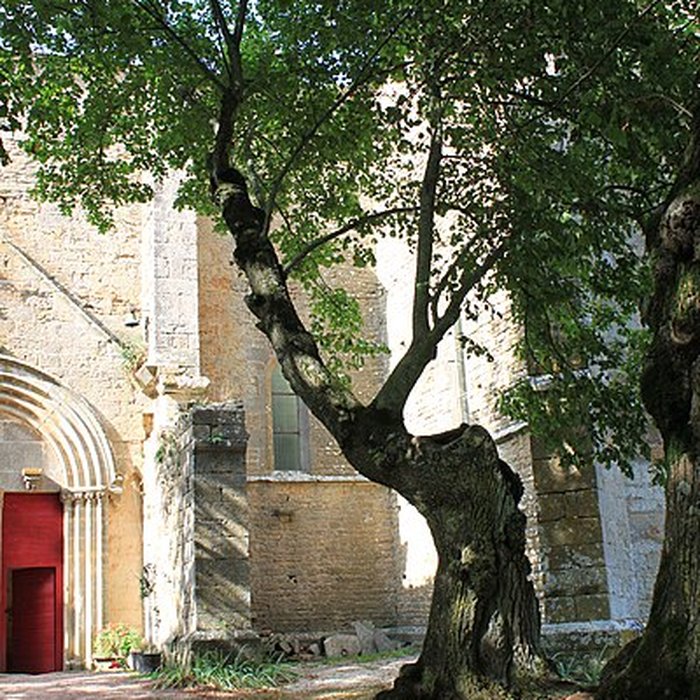 Photo de Collégiale de Thil