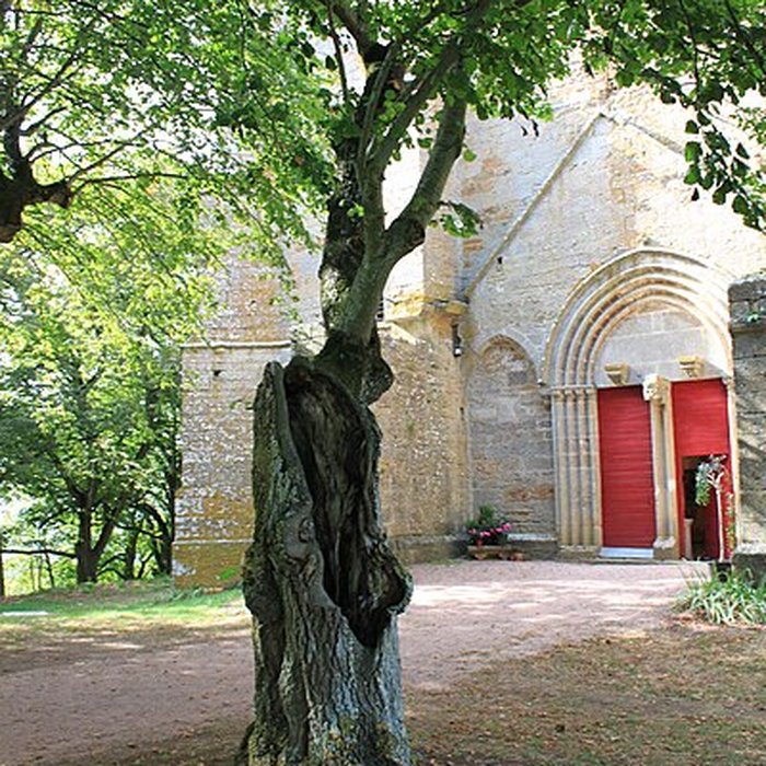 Photo de Collégiale de Thil