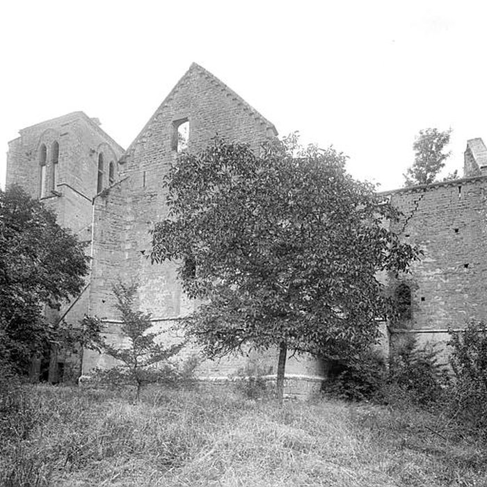 Photo de Collégiale de Thil
