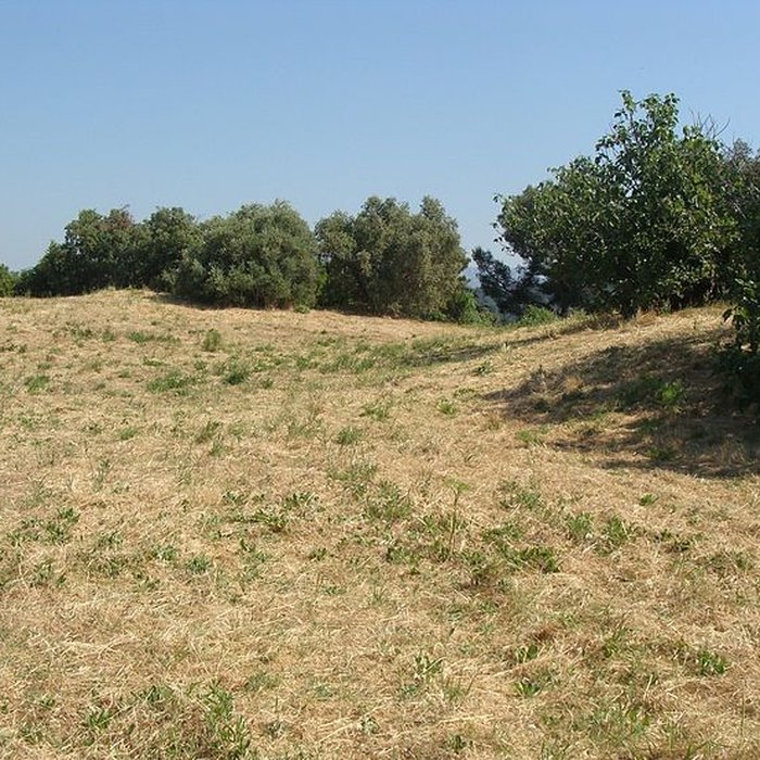 Photo de Sol des parcelles contenant les vestiges de loppidum des Baou et terrains extérieurs au rempart pouvant offrir des traces archéologiques à Saint-Marcel