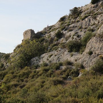 Vestiges de l’ancien château et du bourg castral de Castillon