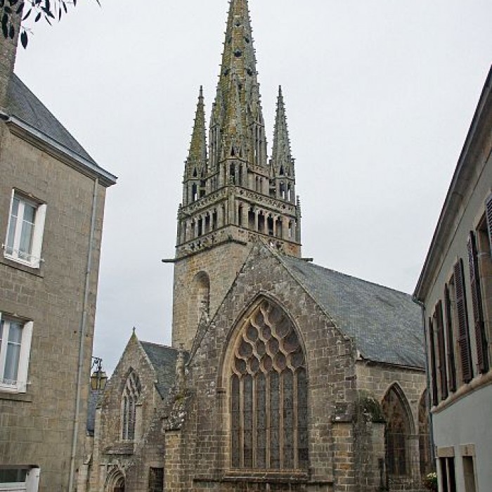 Photo de Collégiale Notre-Dame de Roscudon