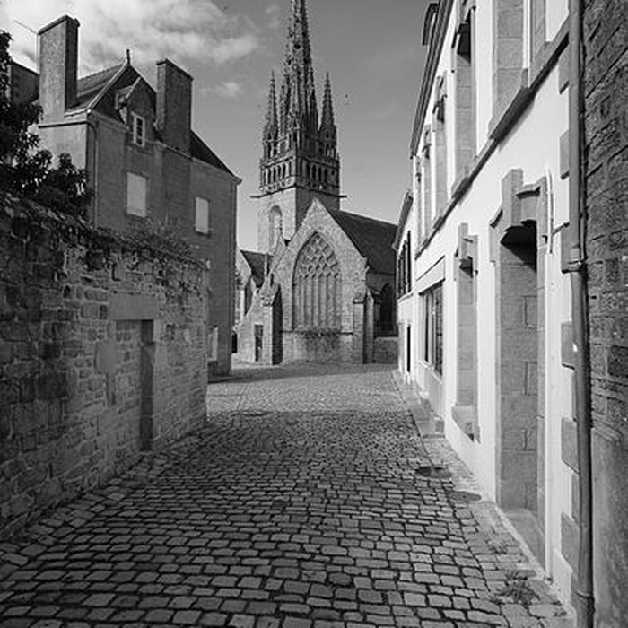 Photo de Collégiale Notre-Dame de Roscudon