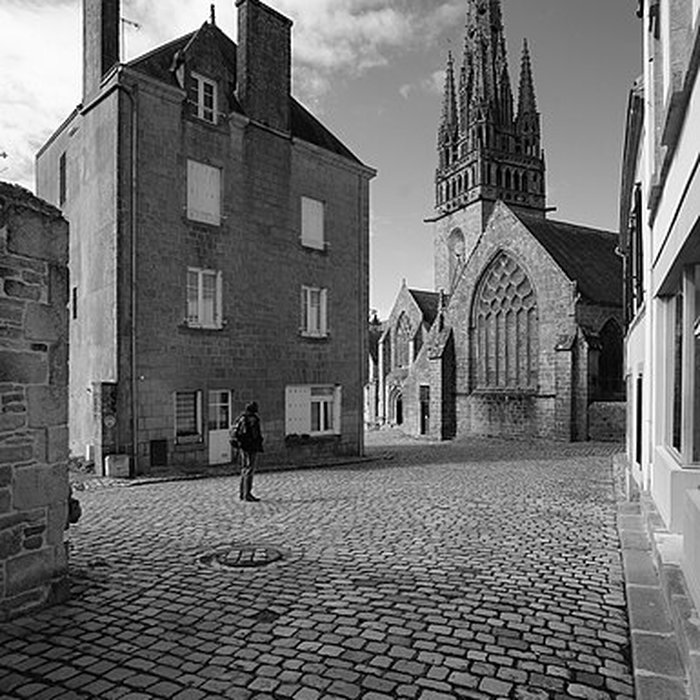Photo de Collégiale Notre-Dame de Roscudon