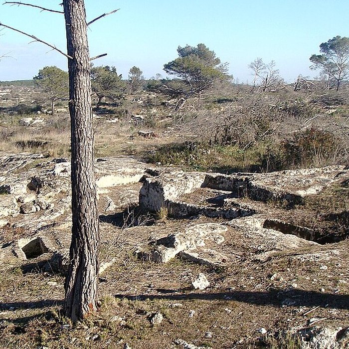 Photo de Oppidum de Saint-Blaise à Saint-Mitre-les-Remparts