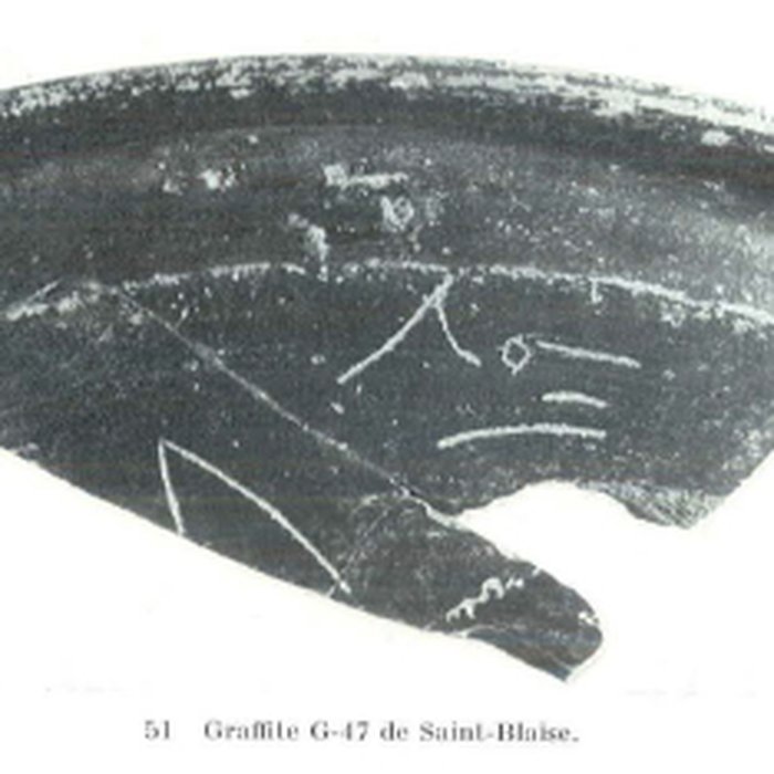 Photo de Oppidum de Saint-Blaise à Saint-Mitre-les-Remparts