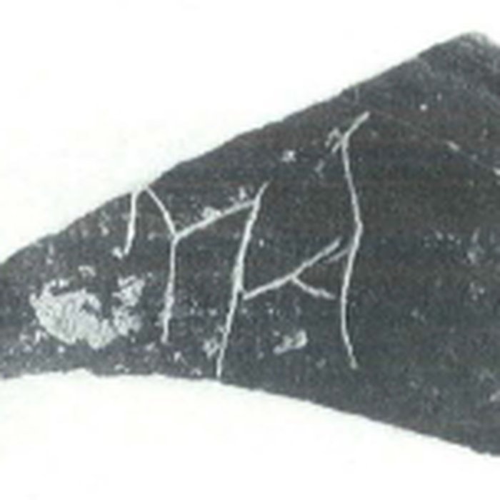 Photo de Oppidum de Saint-Blaise à Saint-Mitre-les-Remparts