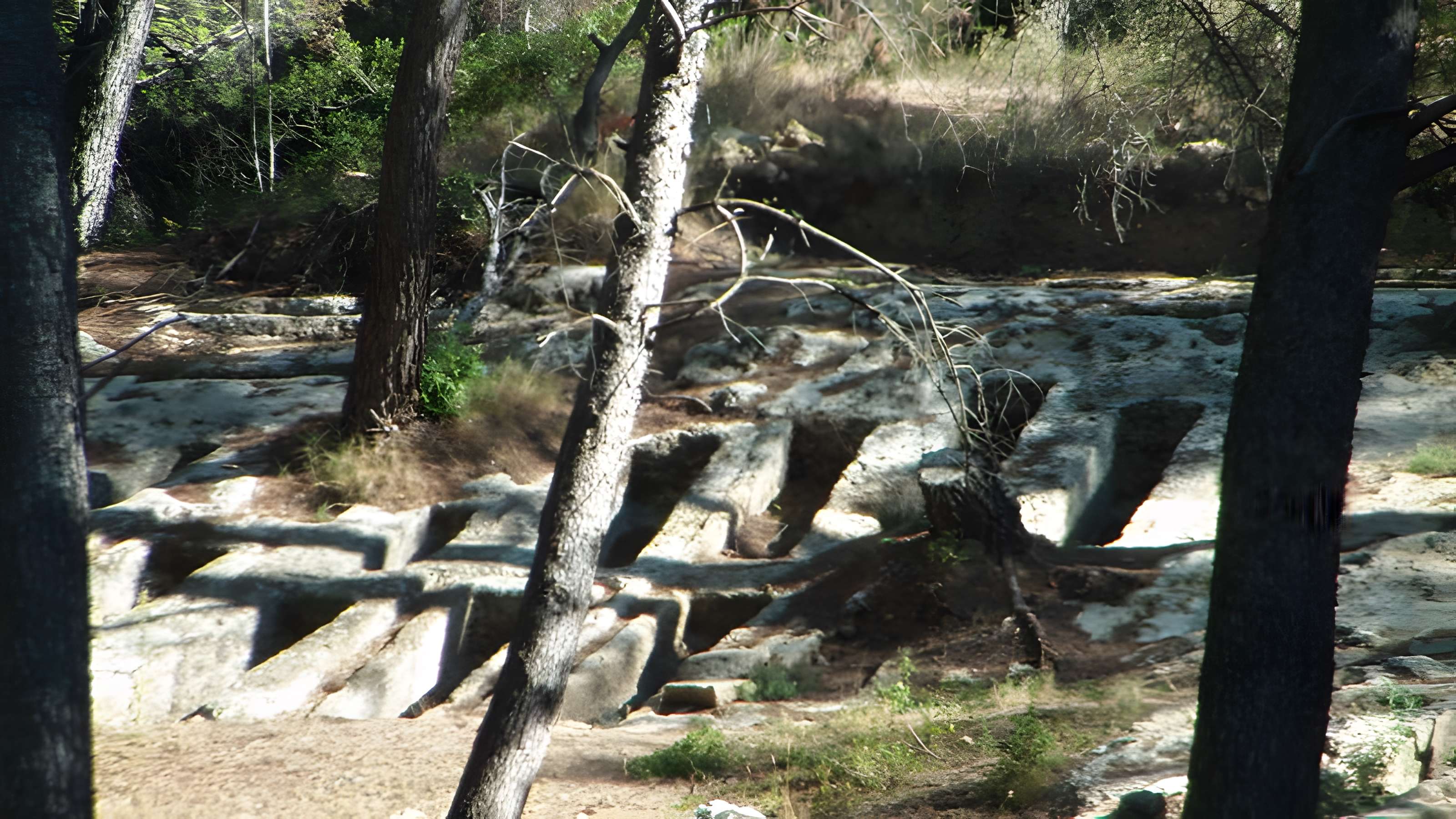 Oppidum Saint-Blaise