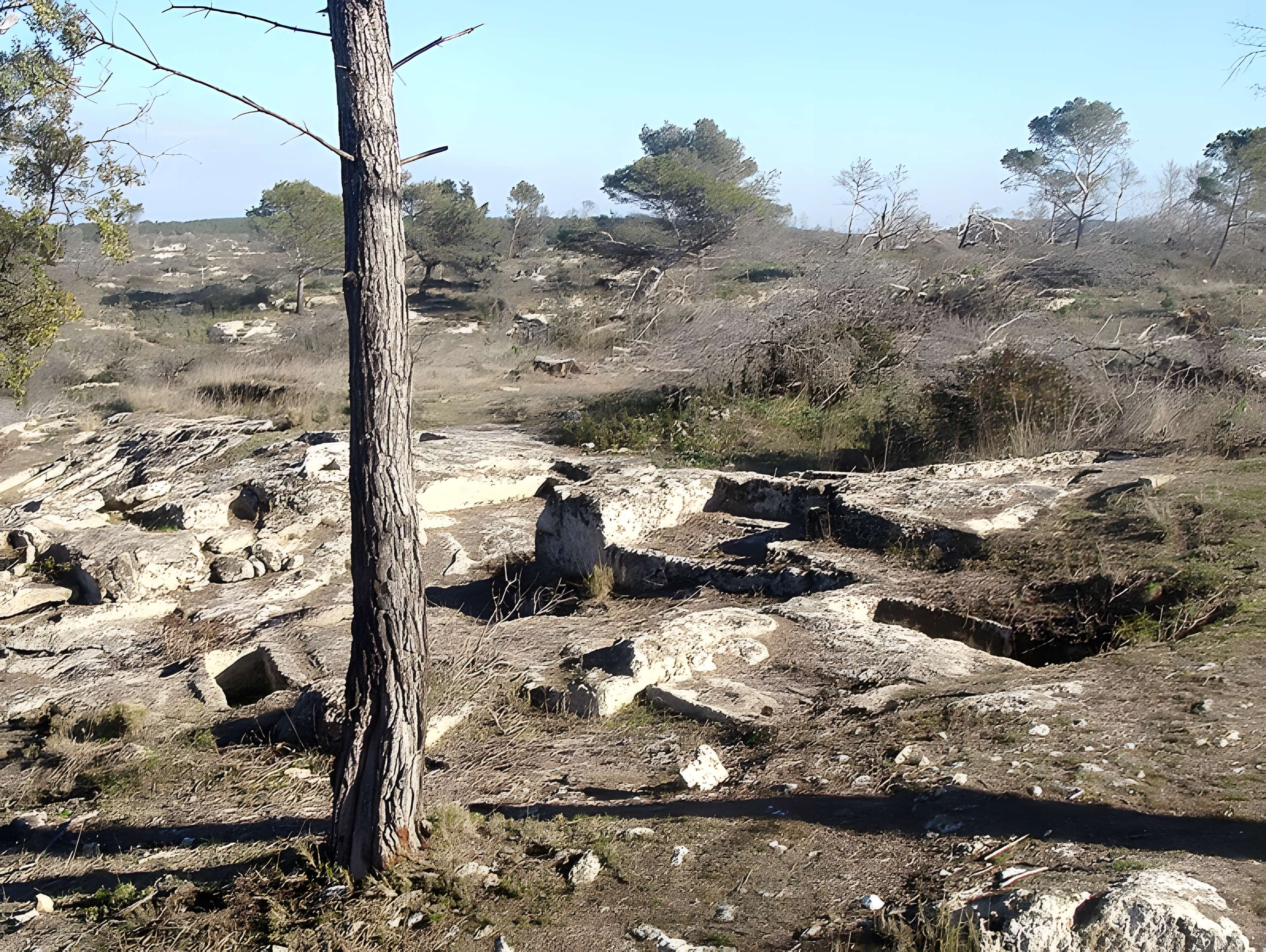 Oppidum Saint-Blaise