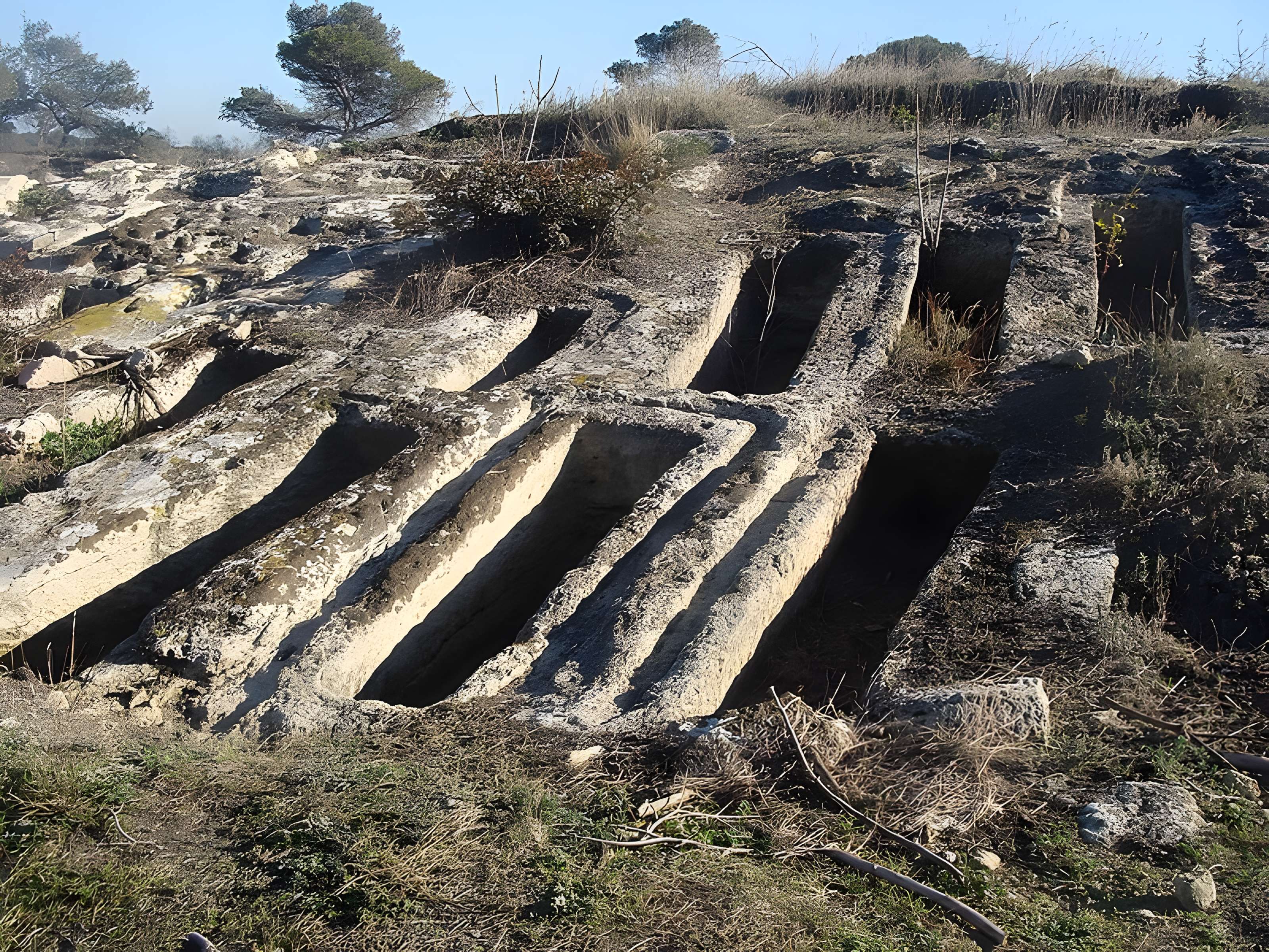 Oppidum Saint-Blaise