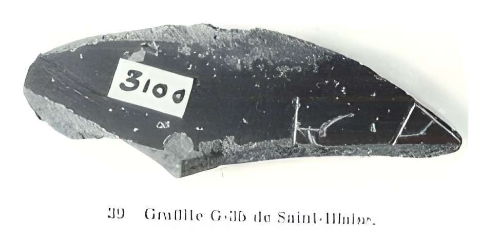 Oppidum Saint-Blaise