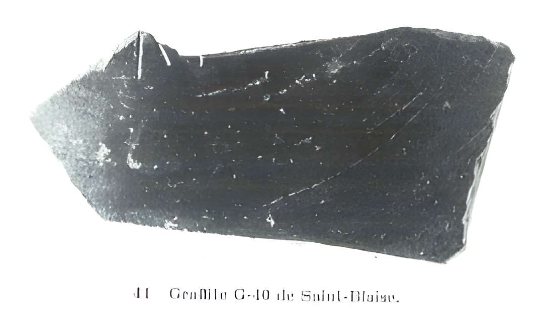 Oppidum Saint-Blaise