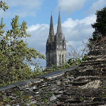 Cathédrale Saint-Maurice dAngers