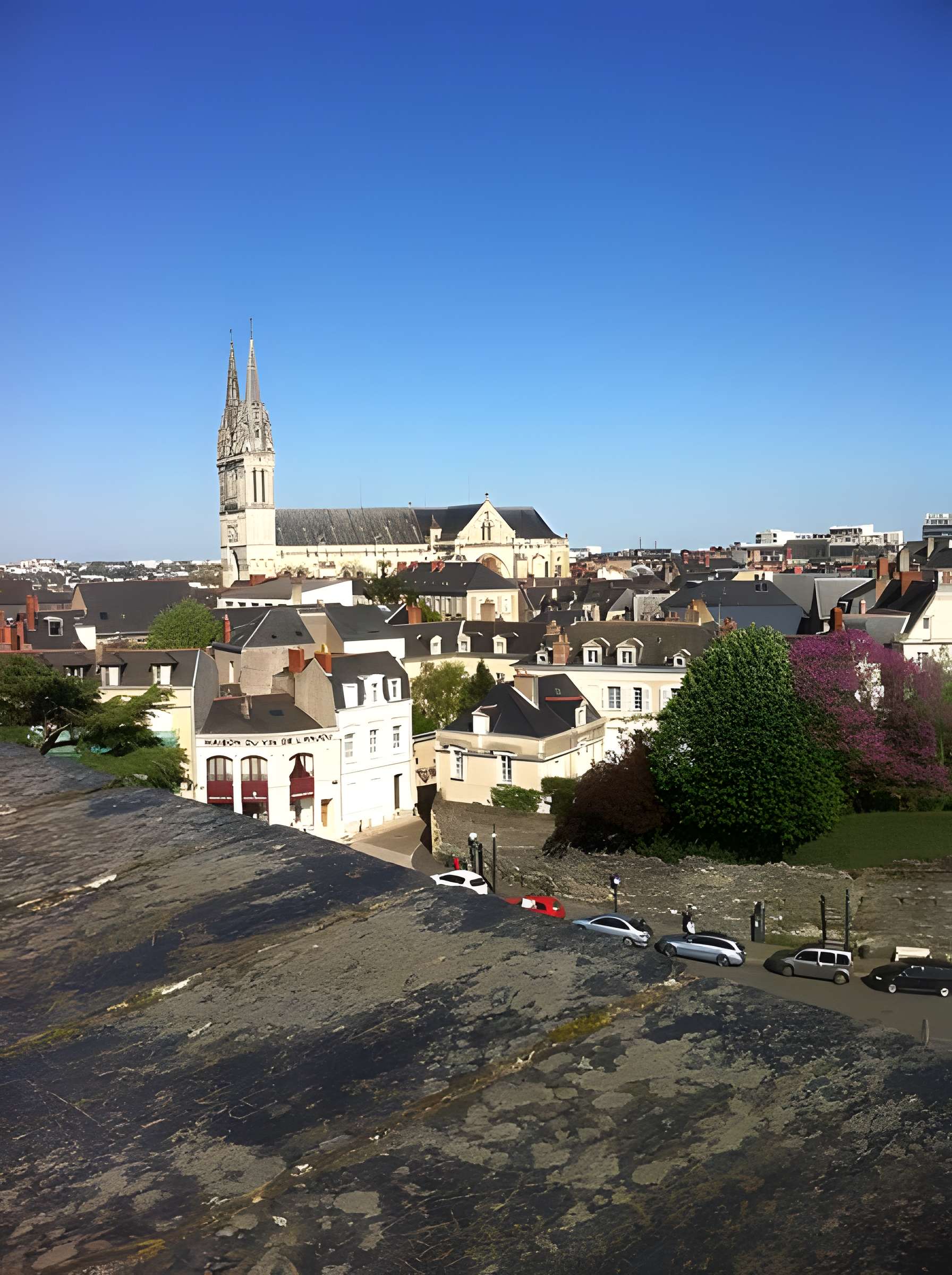 Cathédrale Saint-Maurice d'Angers
