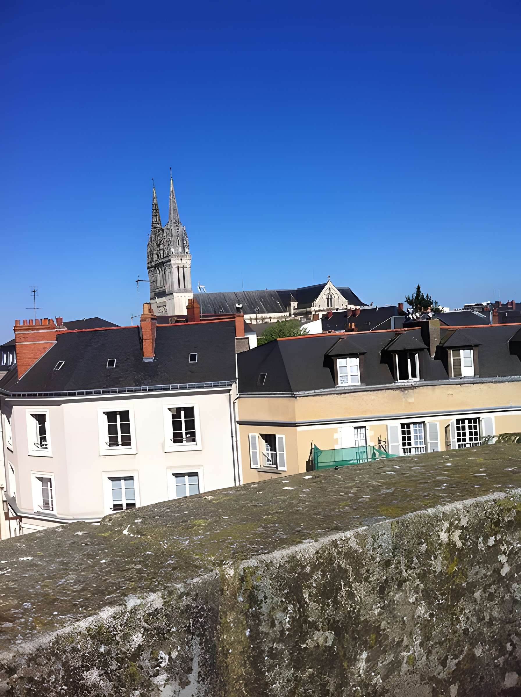 Cathédrale Saint-Maurice d'Angers