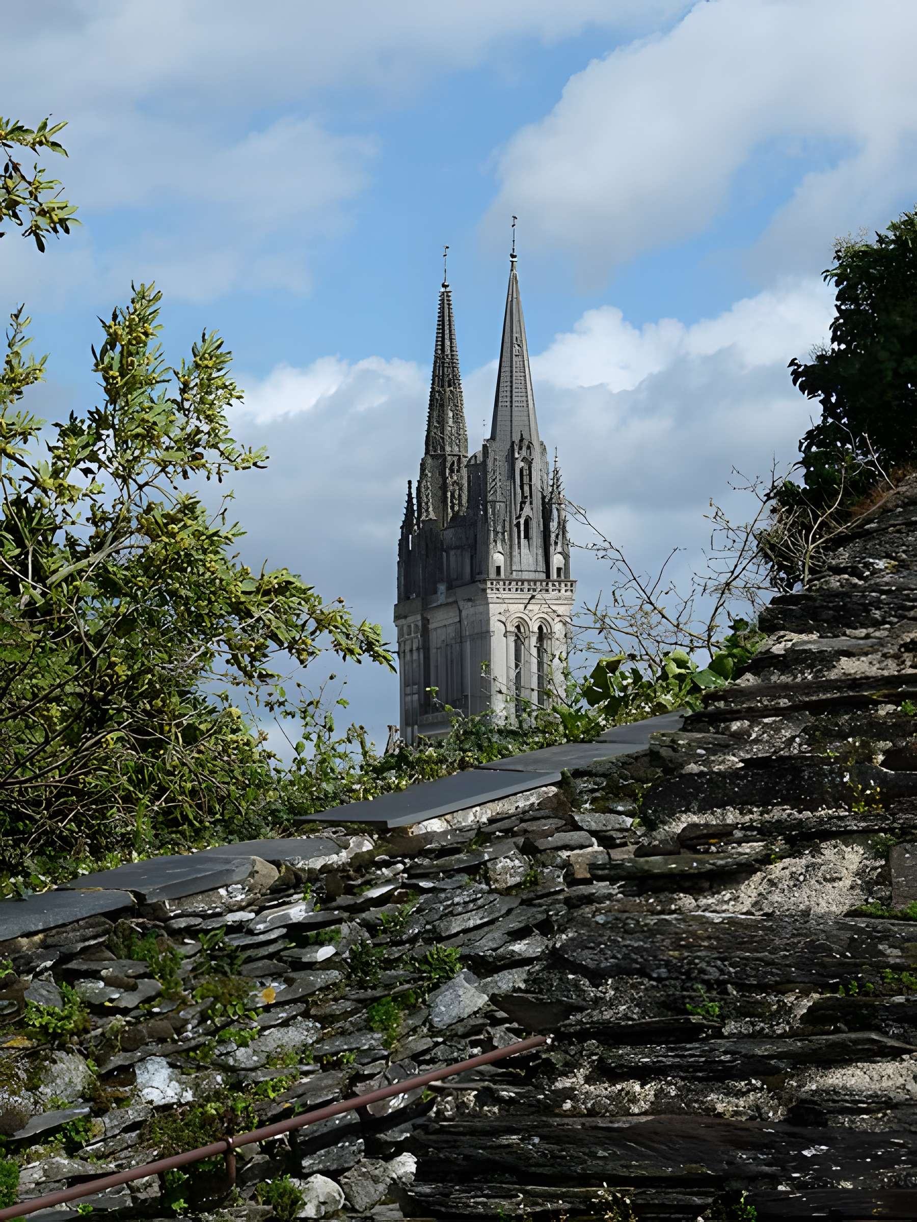 Cathédrale Saint-Maurice d'Angers
