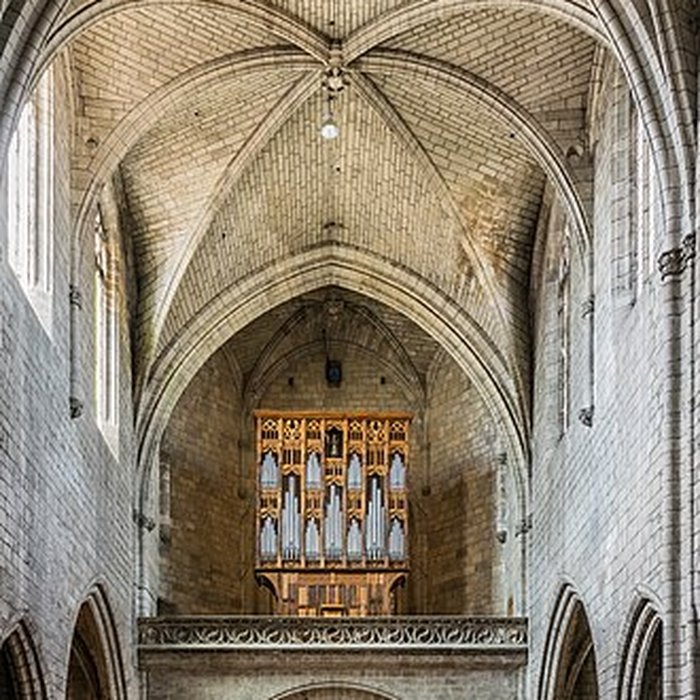 Photo de Collégiale Notre-Dame de Villefranche-de-Rouergue