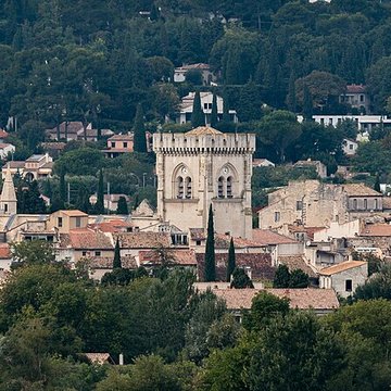 Collégiale Notre-Dame de Villeneuve-lès-Avignon
