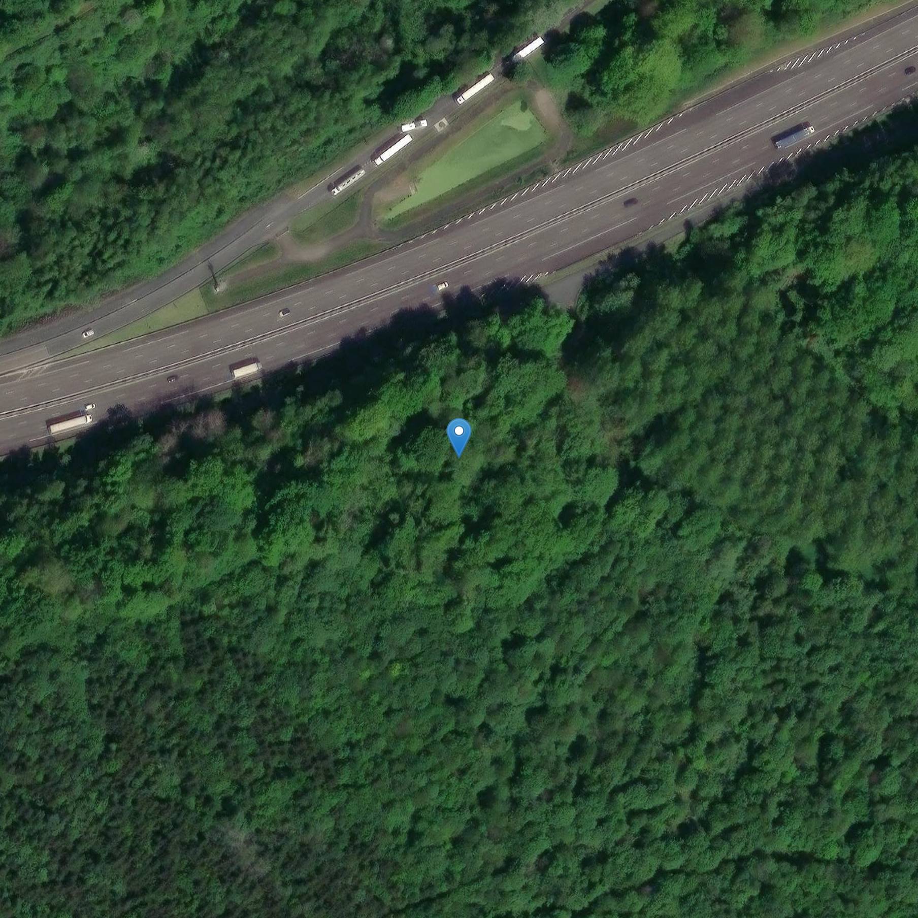 Photo de Vestiges de motte féodale