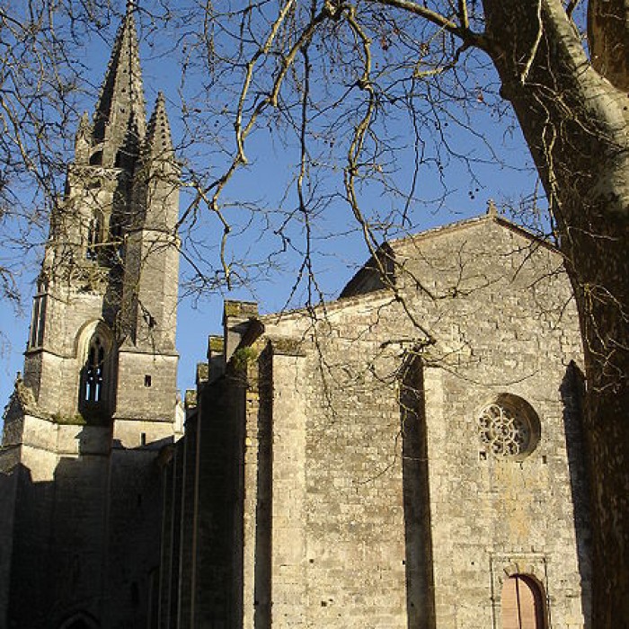 Photo de Collégiale Notre-Dame dUzeste