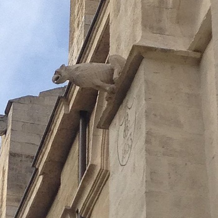Photo de Collégiale Notre-Dame-des-Anges de LIsle-sur-la-Sorgue