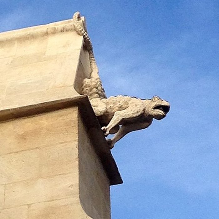 Photo de Collégiale Notre-Dame-des-Anges de LIsle-sur-la-Sorgue
