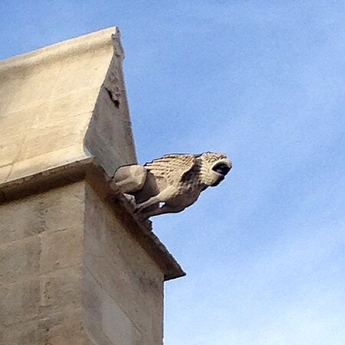 Photo de Collégiale Notre-Dame-des-Anges de LIsle-sur-la-Sorgue