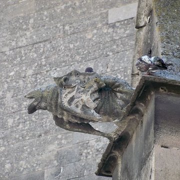 Collégiale Notre-Dame-des-Anges de LIsle-sur-la-Sorgue