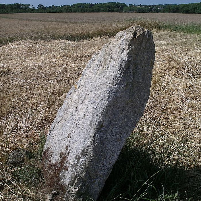 Photo de Menhir de la Demoiselle de Bracqueville