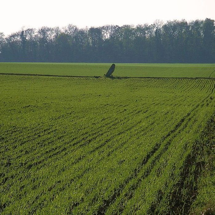 Photo de Menhir de la Demoiselle de Bracqueville