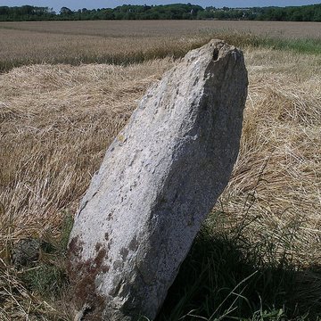 Menhir de la Demoiselle de Bracqueville