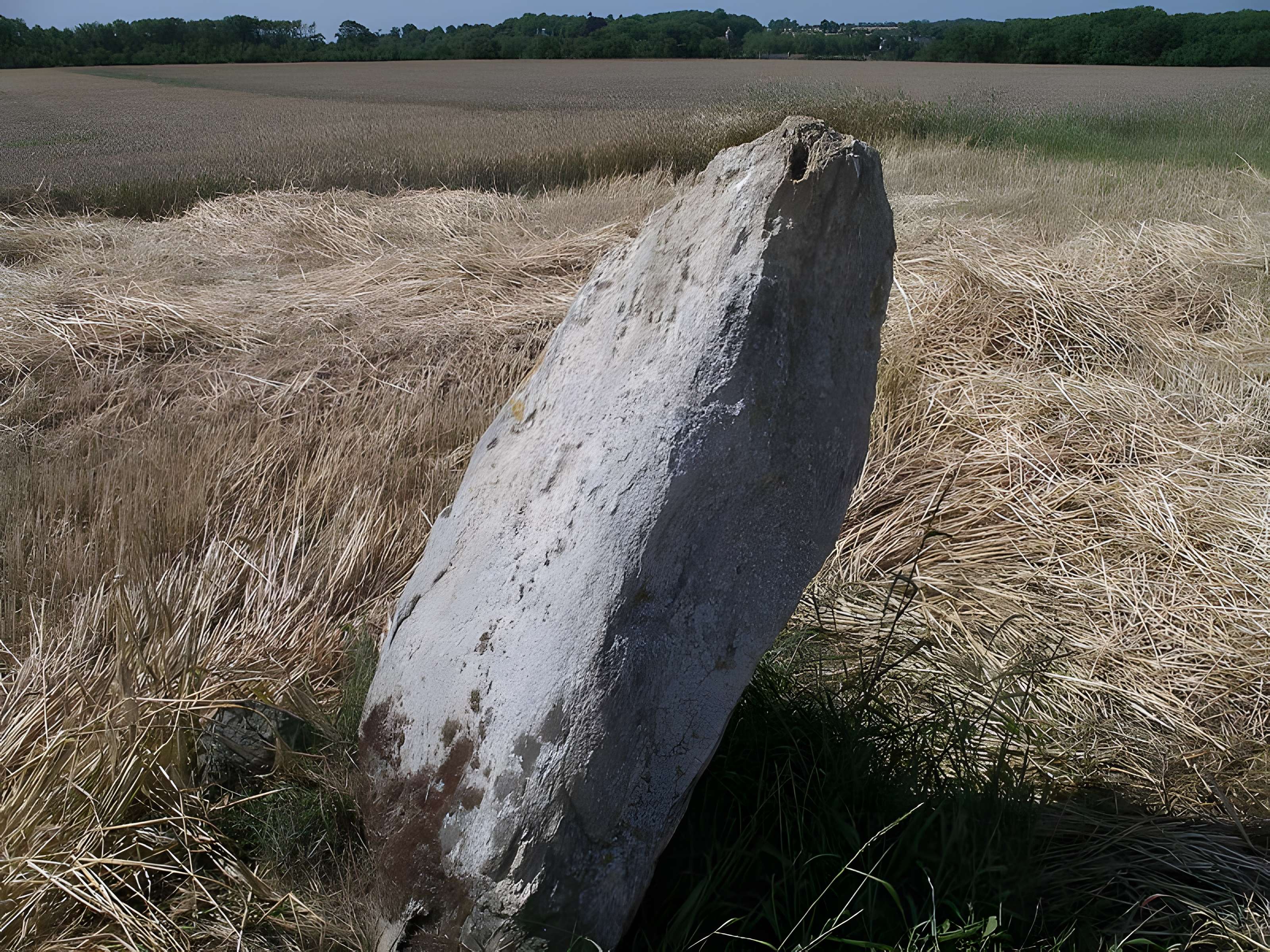 Menhir de la Demoiselle de Bracqueville