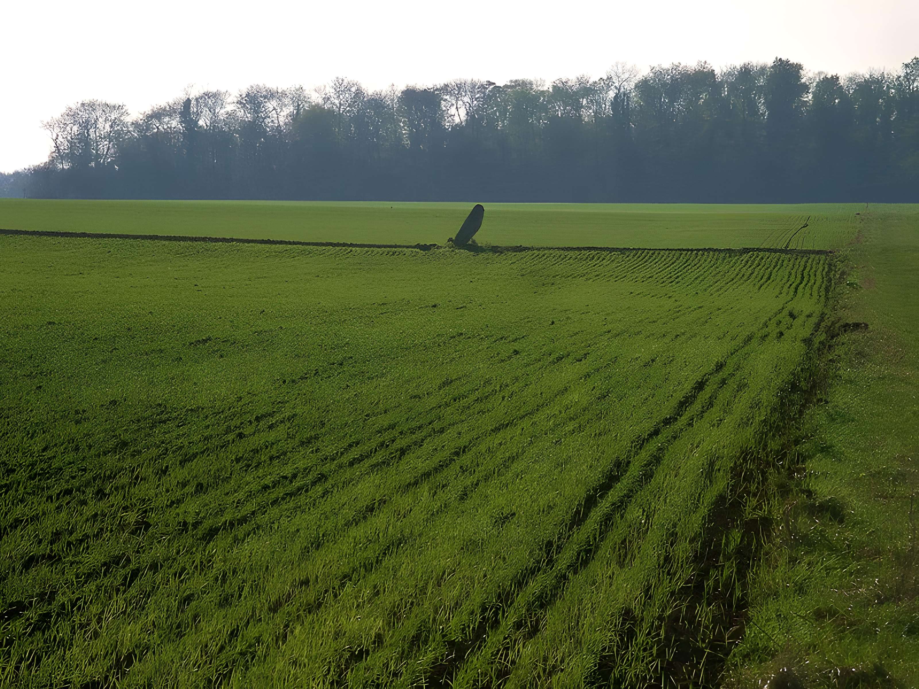 Menhir de la Demoiselle de Bracqueville