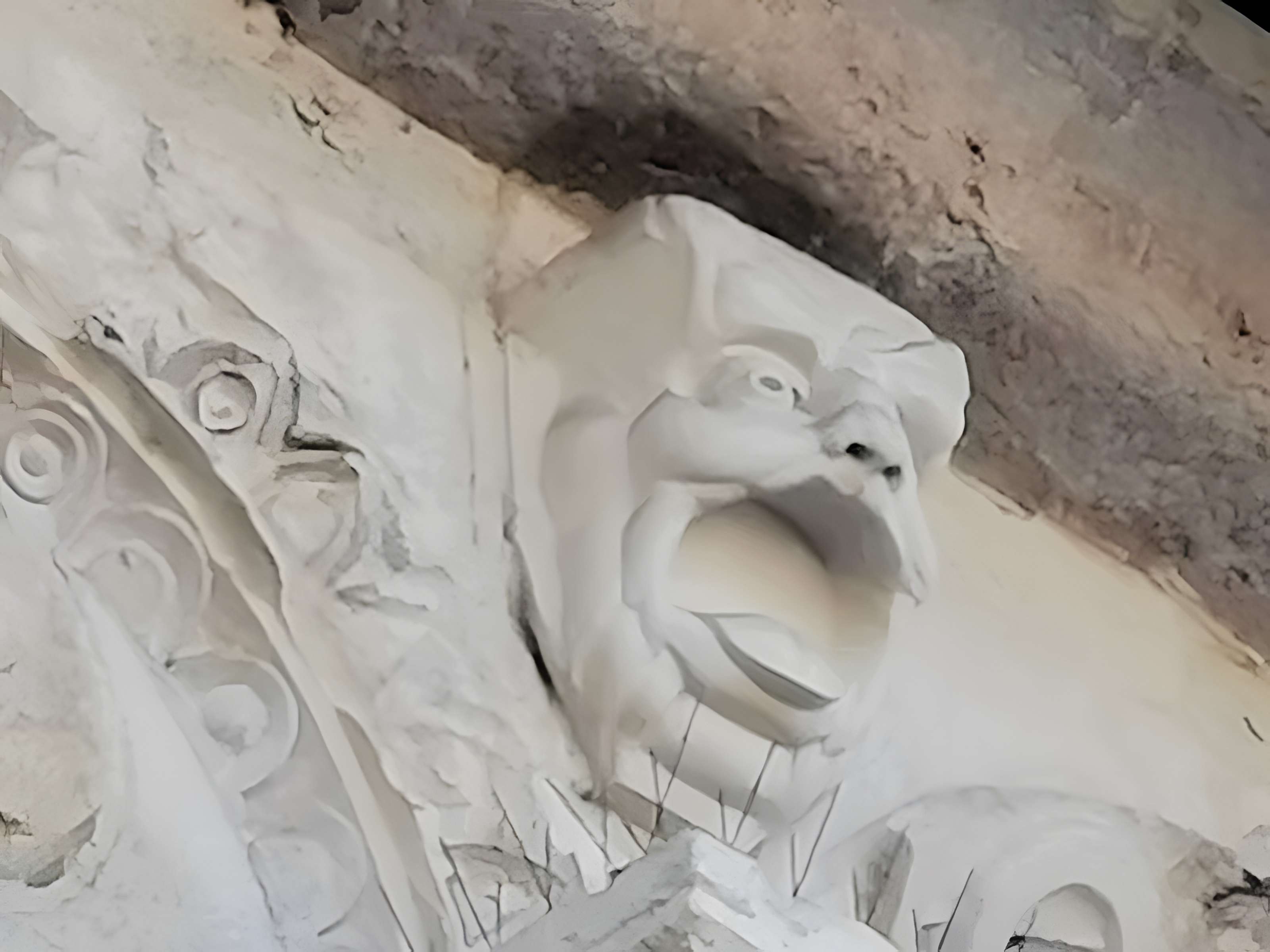 Cathédrale Saint-Maurice de Vienne