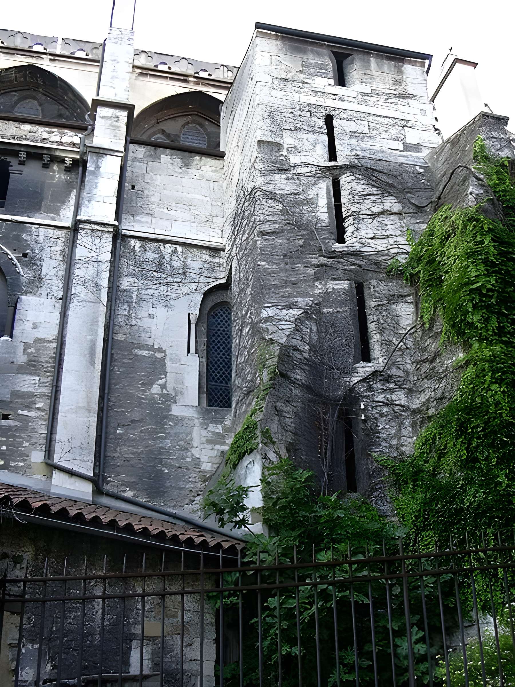 Cathédrale Saint-Maurice de Vienne