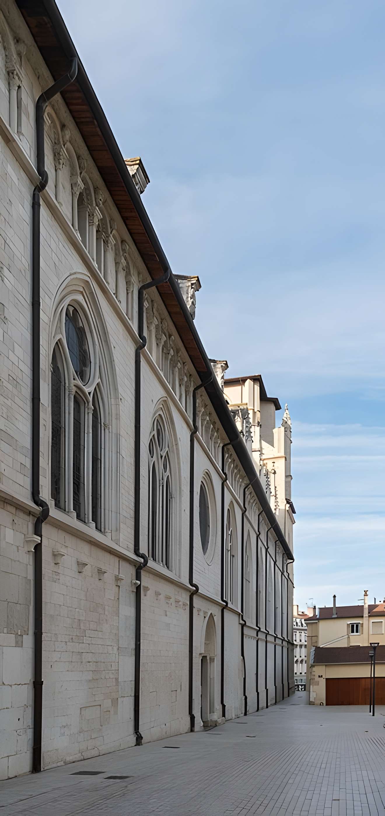 Cathédrale Saint-Maurice de Vienne