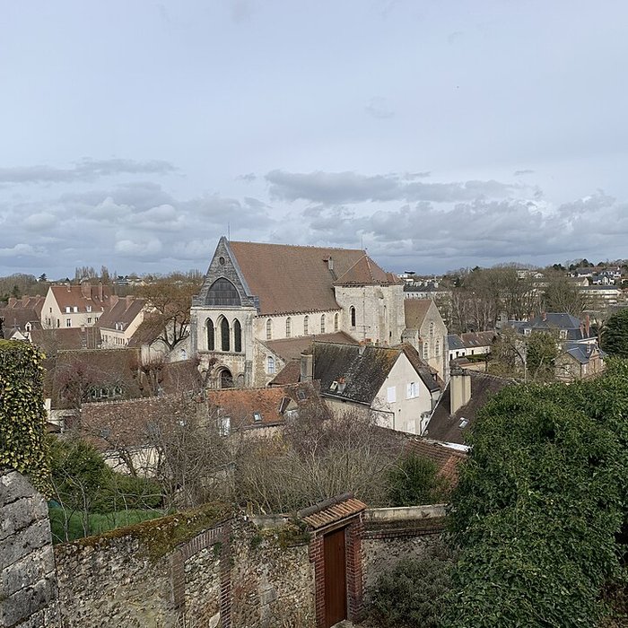Photo de Collégiale Saint-André de Chartres