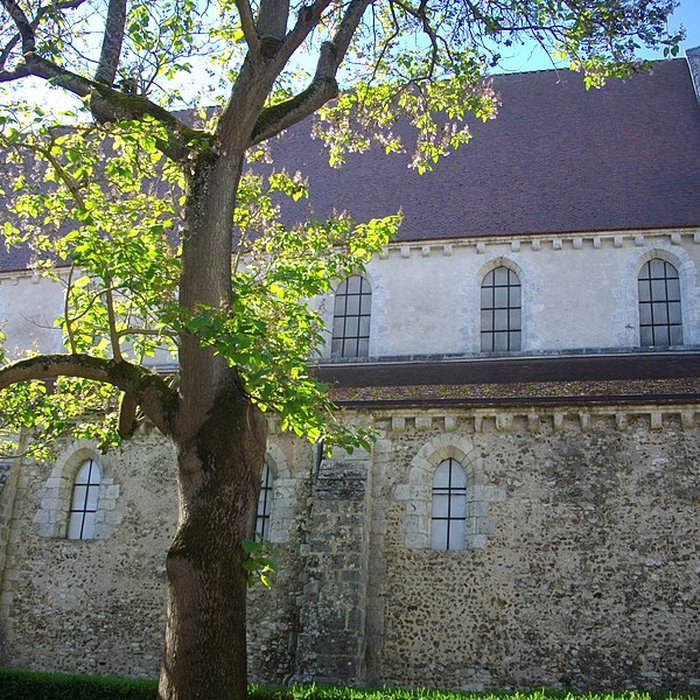 Photo de Collégiale Saint-André de Chartres