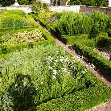 Collégiale Saint-André de Chartres