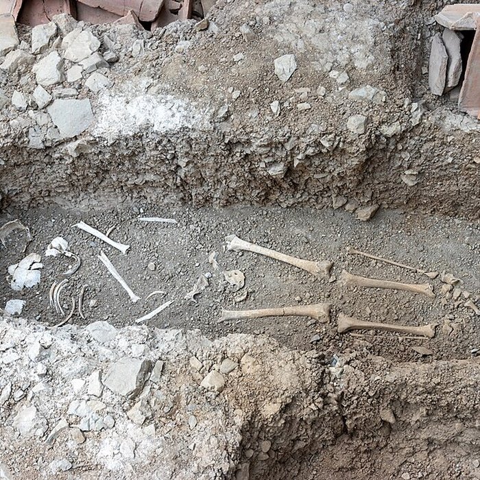 Photo de Collégiale Saint-André de Grenoble