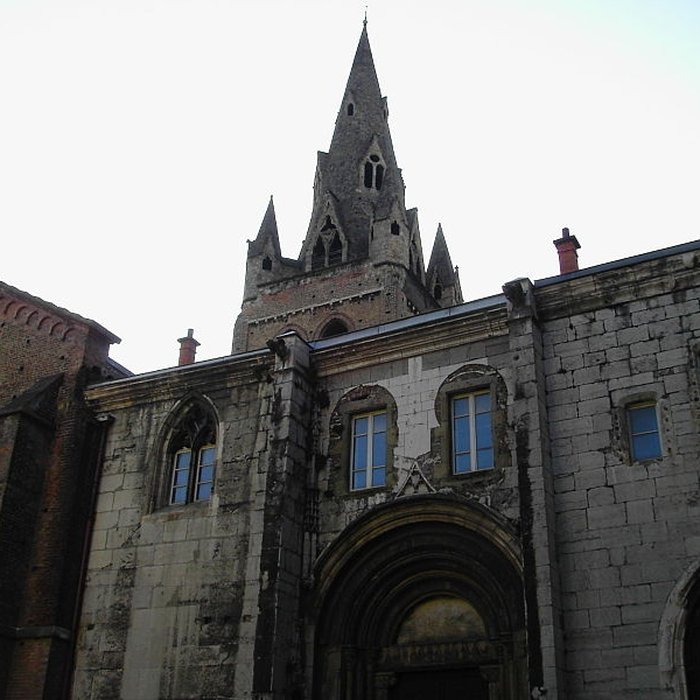 Photo de Collégiale Saint-André de Grenoble