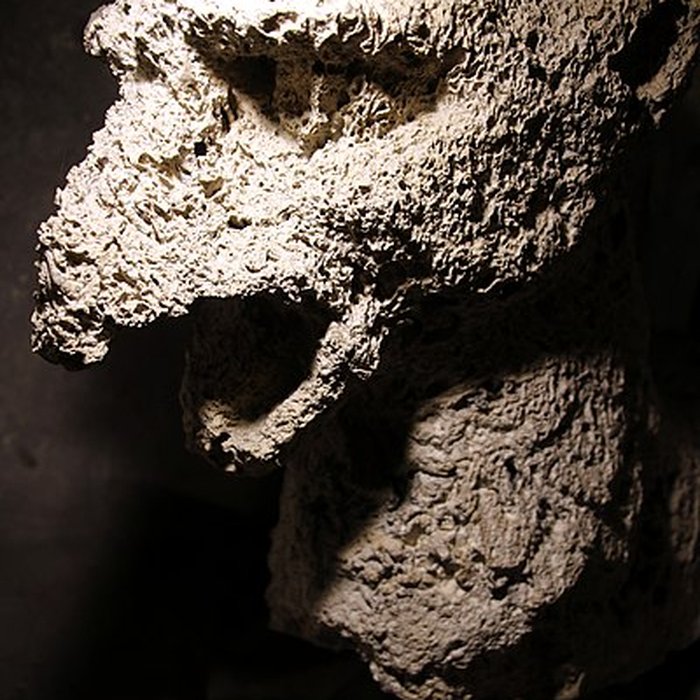 Photo de Collégiale Saint-André de Grenoble