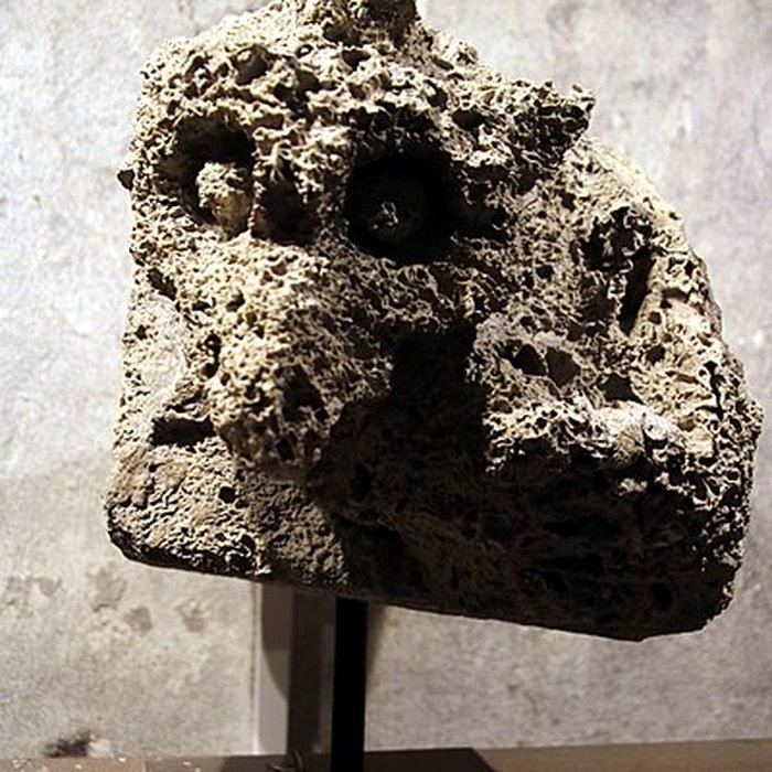 Photo de Collégiale Saint-André de Grenoble